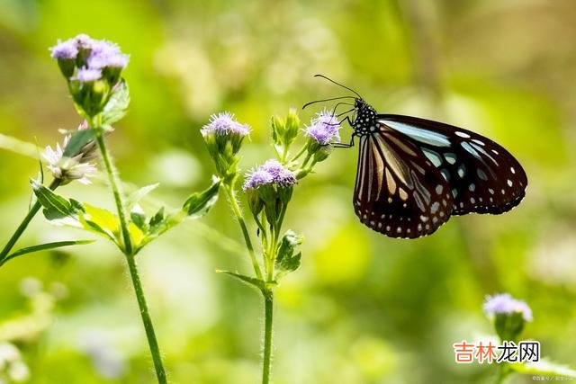 有没有一份爱 有没有一个人，相逢入骨入心，却无法相伴晨钟暮鼓？
