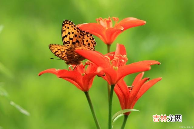有没有一份爱 有没有一个人，相逢入骨入心，却无法相伴晨钟暮鼓？