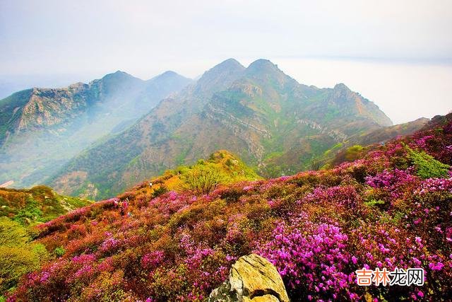 花谢花开 相逢虽短，相思到老，深情一生总有一场缘