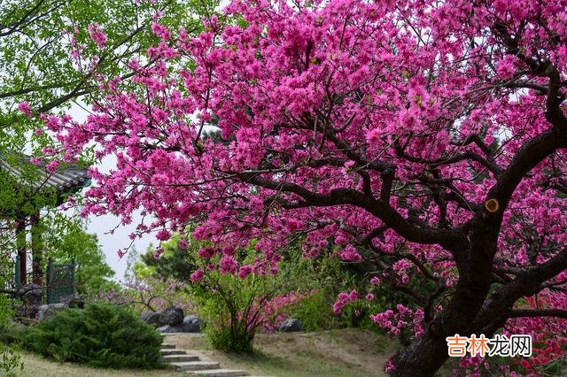 花谢花开 相逢虽短，相思到老，深情一生总有一场缘