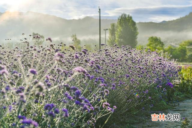 一份深情几经写意 往后余生，你都是我的在意，我的心永远永远只属于你一人！