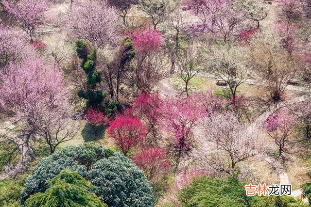 花开叶落一季一季又一季 我的爱花谢花开，碧落黄泉，誓死不休