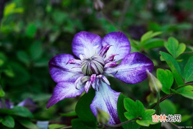 若我白发苍苍 你是光阴中最美的相逢，你的好，足够我怀念今生