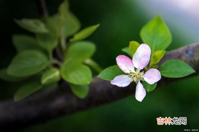 若我白发苍苍 你是光阴中最美的相逢，你的好，足够我怀念今生