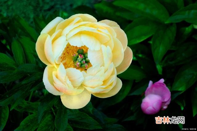 岁月轻轻流转 一场遇见，一世情深，感恩生命路上遇见你