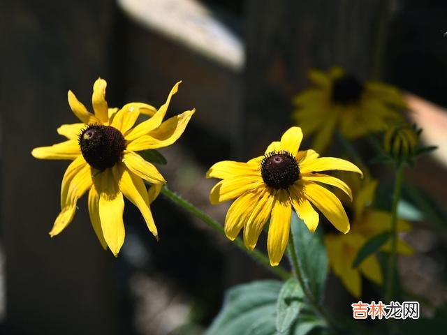 一个人 深情到老不忘记，海角天涯心相惜，好想你