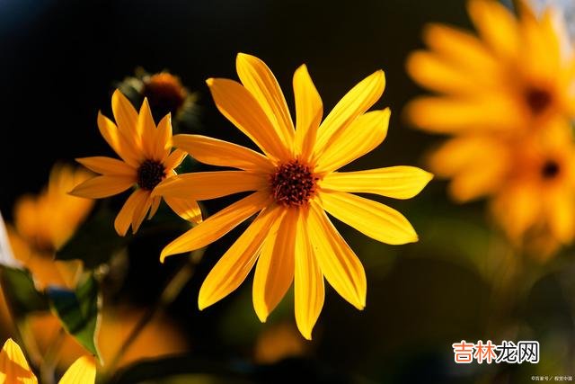 红尘世间 心被念填满，情为你挂牵，你是我今生至死不渝的想念