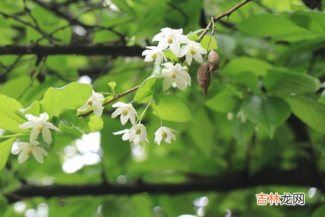 那一年的那一天 爱过足够，相思永久，倾我一世柔情，念你此生不忘