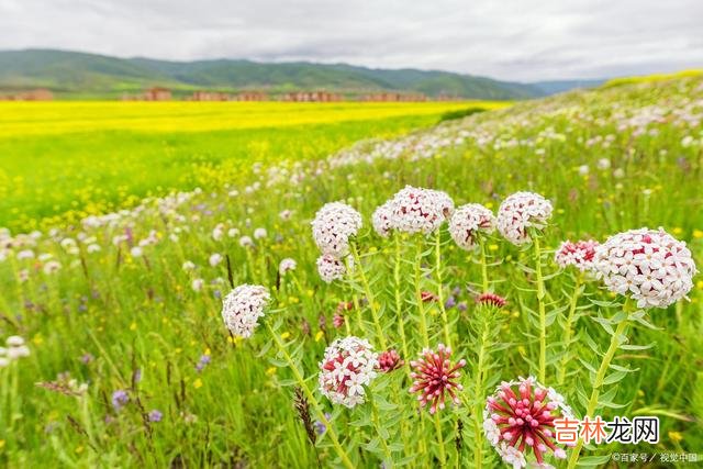 蓦然回首 好想你，缘分散了，就在心里爱你一生