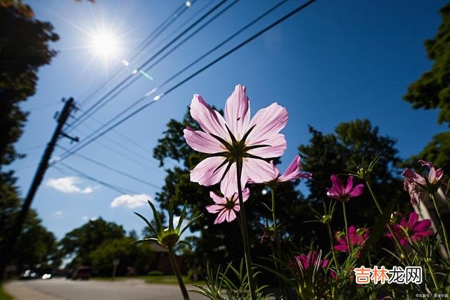 缈缈红尘 一别成殇，相思难忘，海角天涯费尽思量