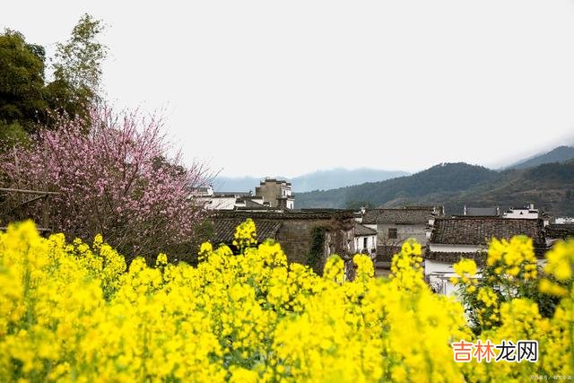 真正的爱 好想你，想你在山水间，想你在花海里，想你在人海里