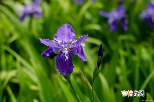 季节的风轻轻摇落了枝头的叶 见与不见，你都是我一生所爱，一生所念