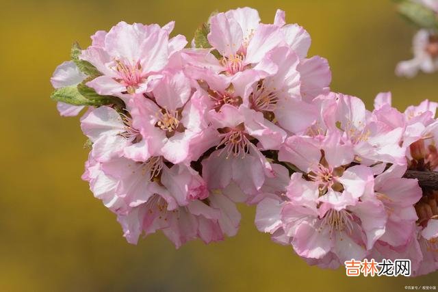 时光匆匆 今生无缘相守，我就把你放在心上，默默相思一辈子
