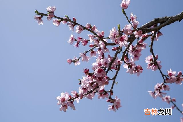 一片秋叶零落风中 相逢一场，情浓一生，海角天涯，梦你一生