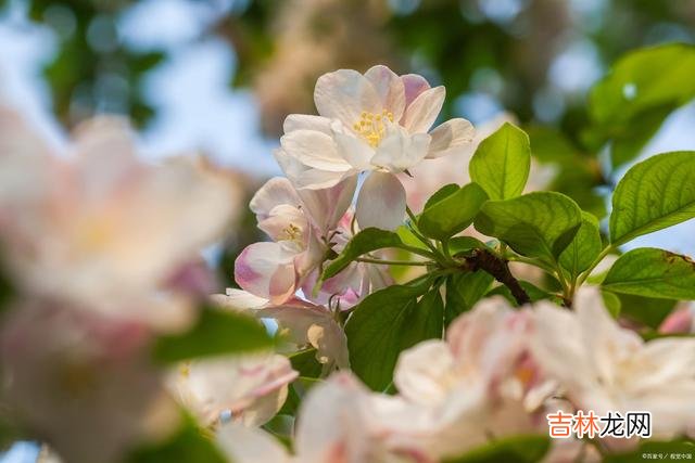 总有一场相见 初心见君，深情眷君，我若不老，爱你不变东风恶