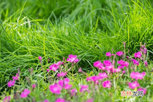 空中 生命不老，相思不止，无缘相见，就在灵魂里陪着你