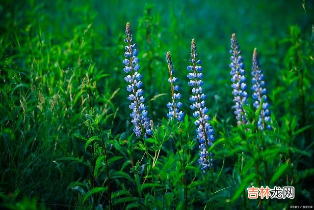 空中 生命不老，相思不止，无缘相见，就在灵魂里陪着你