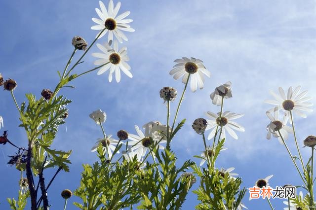 世界那么大 太想太想你，日日思君不见君，何日还能再重逢