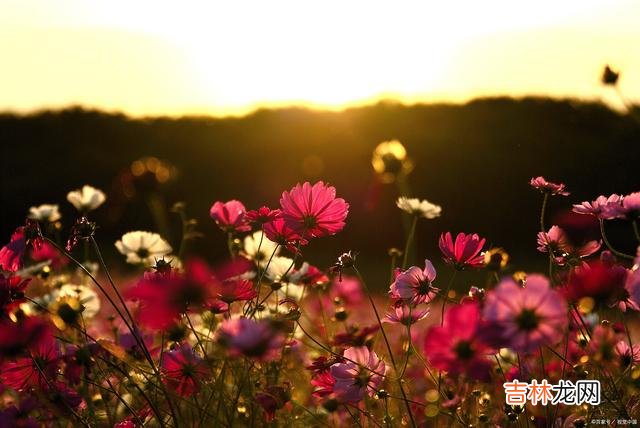 世界那么大 太想太想你，日日思君不见君，何日还能再重逢