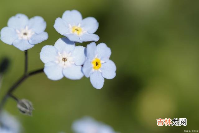 冬雷震震 无缘与你执手同行，就让你在我心中幽居一生
