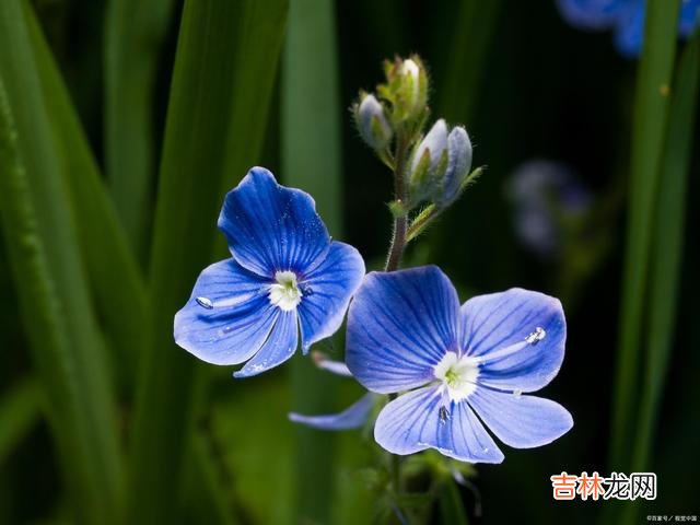 冬雷震震 无缘与你执手同行，就让你在我心中幽居一生