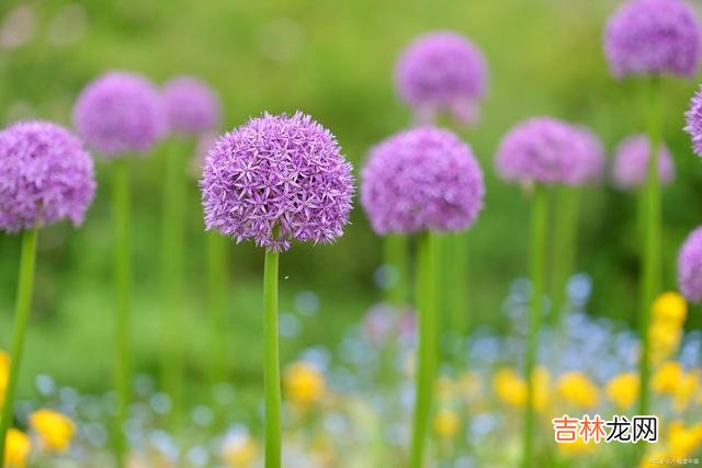 冬雷震震 无缘与你执手同行，就让你在我心中幽居一生