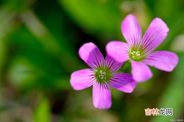 一笑逢君人间路 我们不再联系，可这一世，我一直都在深深地想着你