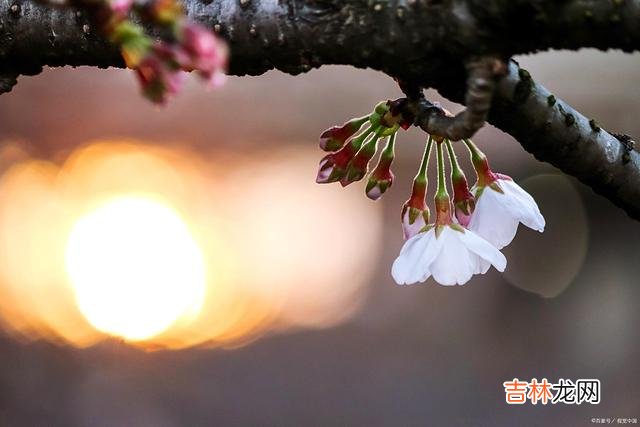 我曾向往“执子之手 爱过一场，此生不忘，海角天涯，念君如初