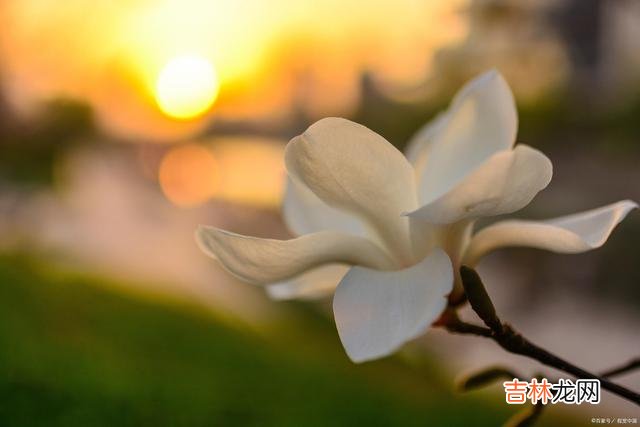 我曾向往“执子之手 爱过一场，此生不忘，海角天涯，念君如初