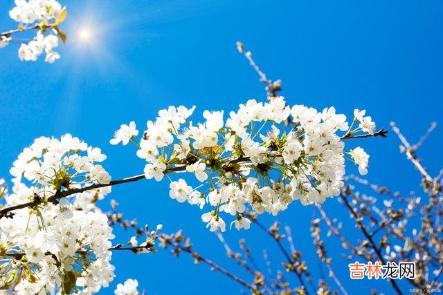 我曾向往“执子之手 爱过一场，此生不忘，海角天涯，念君如初