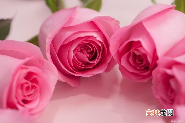 遇见你 好想你，思无涯，念无疆，你是今生最长情的惦记