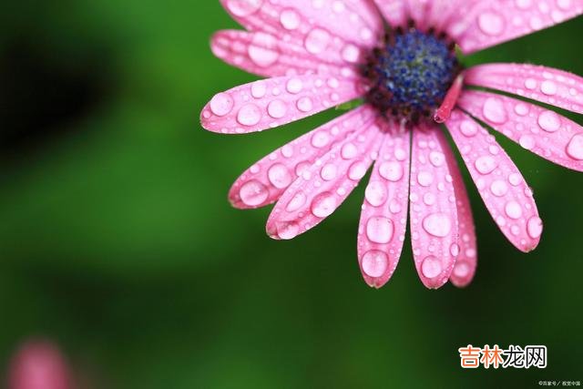遇见你 好想你，思无涯，念无疆，你是今生最长情的惦记