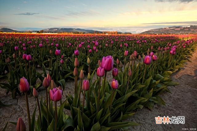 那一条街 万水千山隔不断痴念沉沦，真爱一场就是一辈子的相思