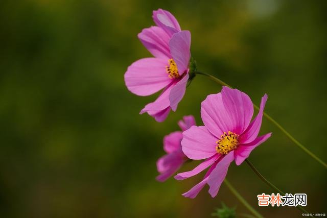 不想离别 爱有多深，相思便有多浓烈，情有多真，思念便有多伤感