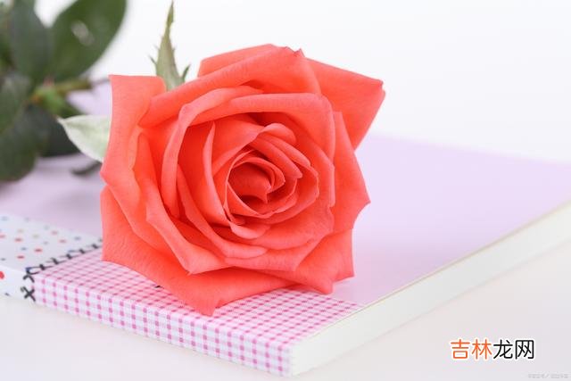 轮回的红尘 相思如顽疾，我在痴醉中爱你，山长水远，不复相见