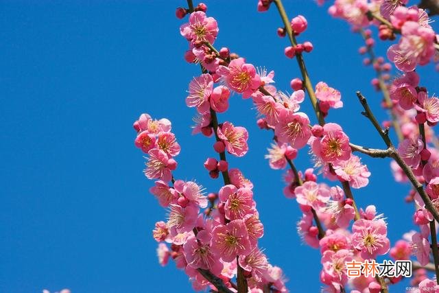 流光深处 春风十里不如你，山长水远念着你