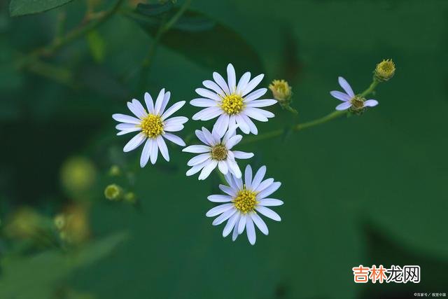 流光深处 春风十里不如你，山长水远念着你
