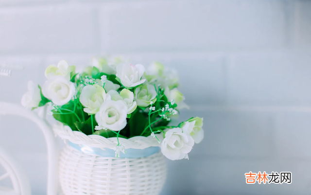 如果说婚姻是必然的成长过程 当你发现一个已婚之人，想要和你有未来时，就应该警惕了