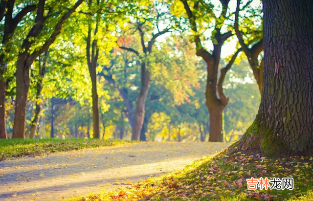 每个人都爱听好话 与人相处的时候，说话其实很重要