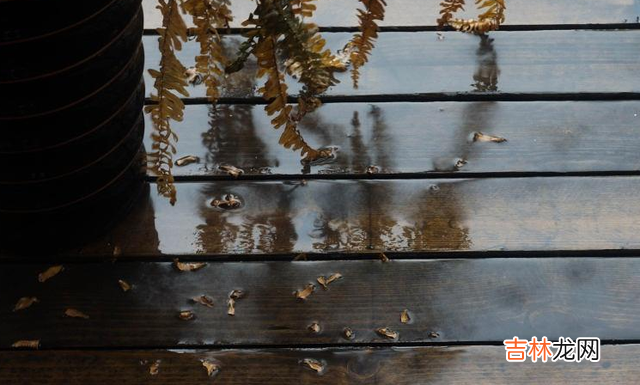 人的一生都在追求物质 其实一个女人,她是穷命还是富贵命很好察觉