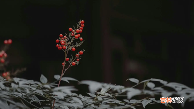 没有人想做薄情的人 薄情的女人才是好命的女人，因为她们知道情谊很贵，不该浪费