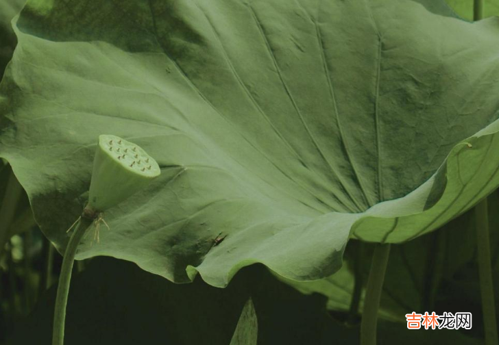 每个人的一生总有几个大坎需要闯过去。|世界上，那些真正渡你的人，其实是对你有这几个行为的人