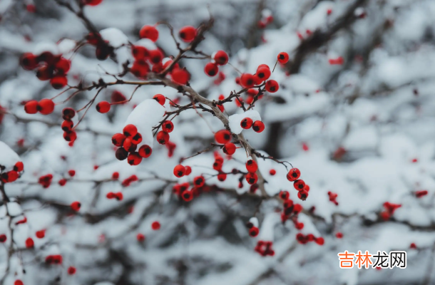 古往今来 人活到一定境界大概就是心如止水