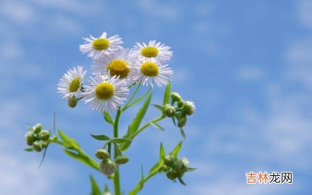 没有人不希望自己活得漂亮。|如果你想知道对方生活状态，不如看看他们的衣着吧