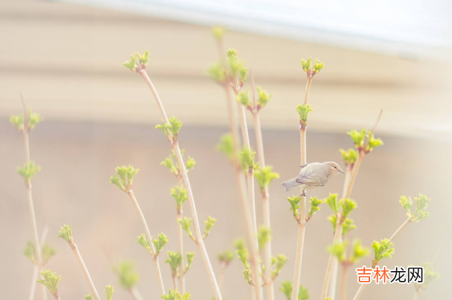每个女人即使再不愿意承认 聪明的女人都会将资产都投资在自己身上