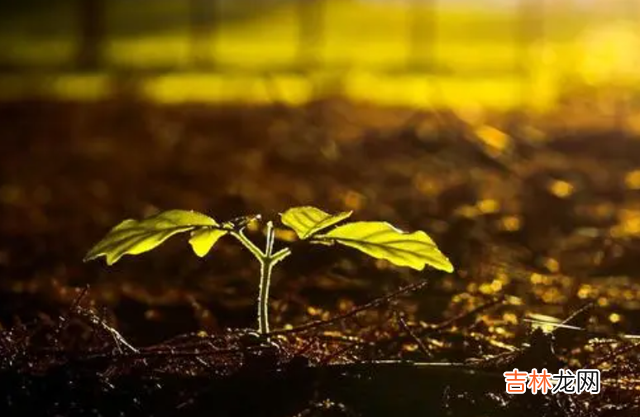 刷到过一个话题：为什么有些人总是不快乐？高赞回答是很短的一段话：“没有能力得到自己想要的...|人生最好的活法，莫过于能够真正的按照自己的想法去生活