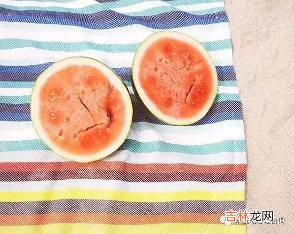 心理咨询：父母催婚背后的真相是什么