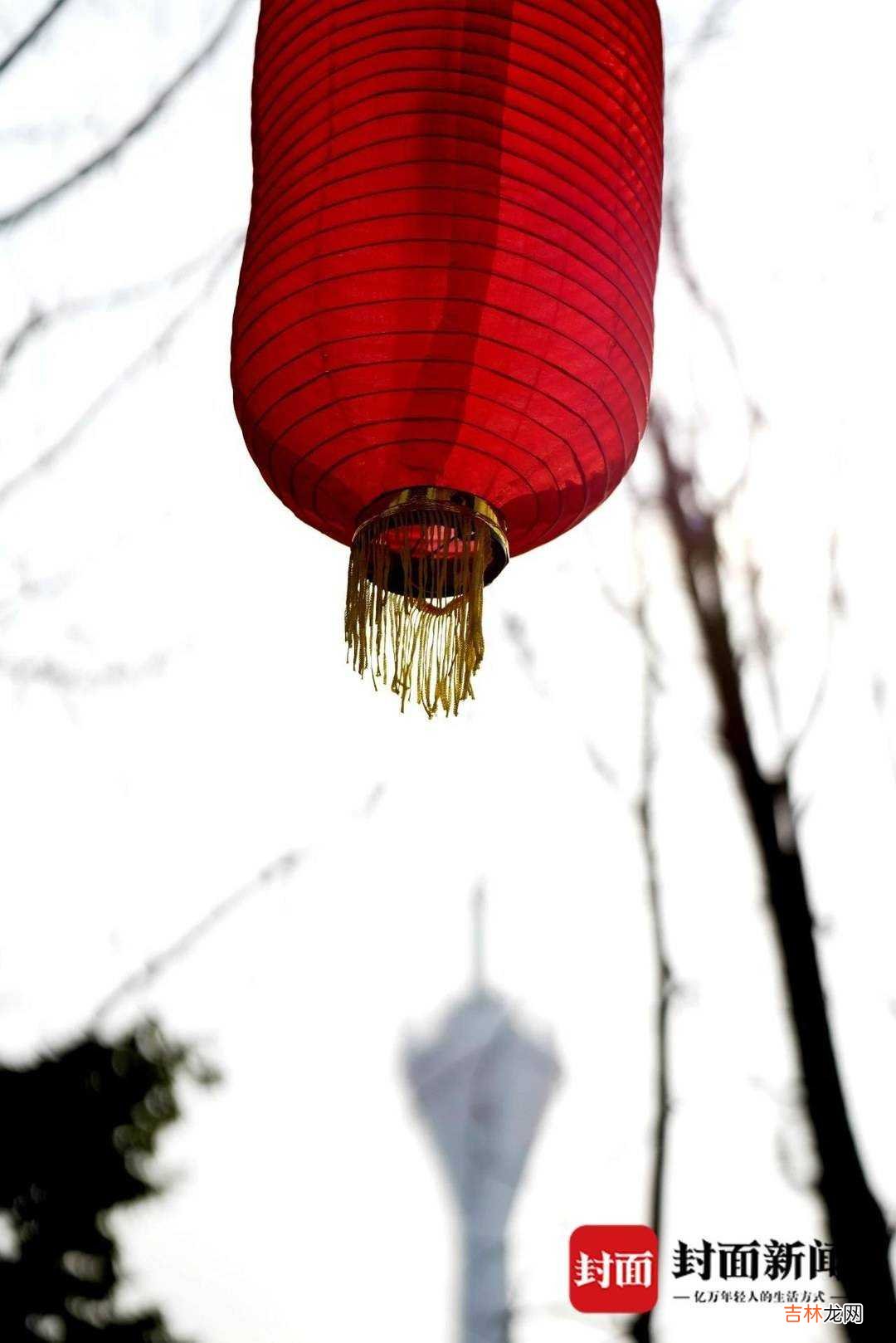 本文转自：封面新闻有钱没钱回家过年没有了车水马龙的喧闹午后的阳光召唤着团年后的人们在成都...|图说成都｜过年的人