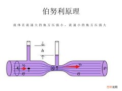 伯努利定理是什么  什么是伯努利定理