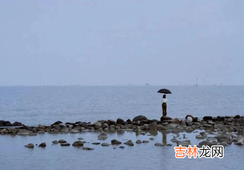 听过一句很伤感的话：“‘已读不回’是这个世界上 应对“已读不回”时最高明的处理方式，无非这两种